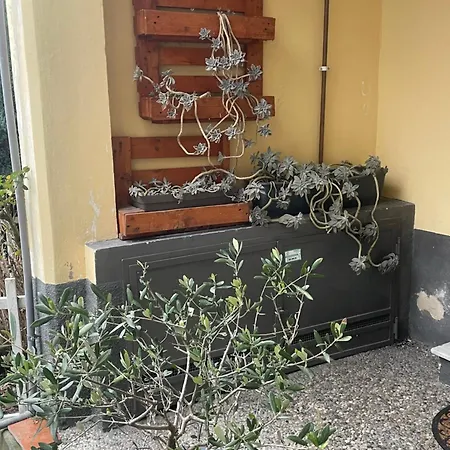 Il Rifugio Di Pongo *