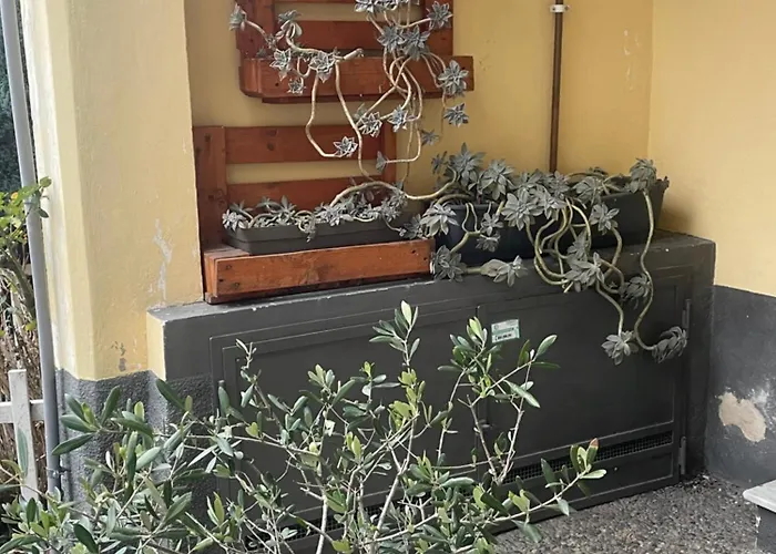 Il Rifugio Di Pongo *